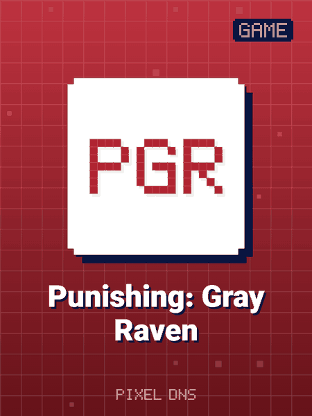 Punishing: Gray Raven